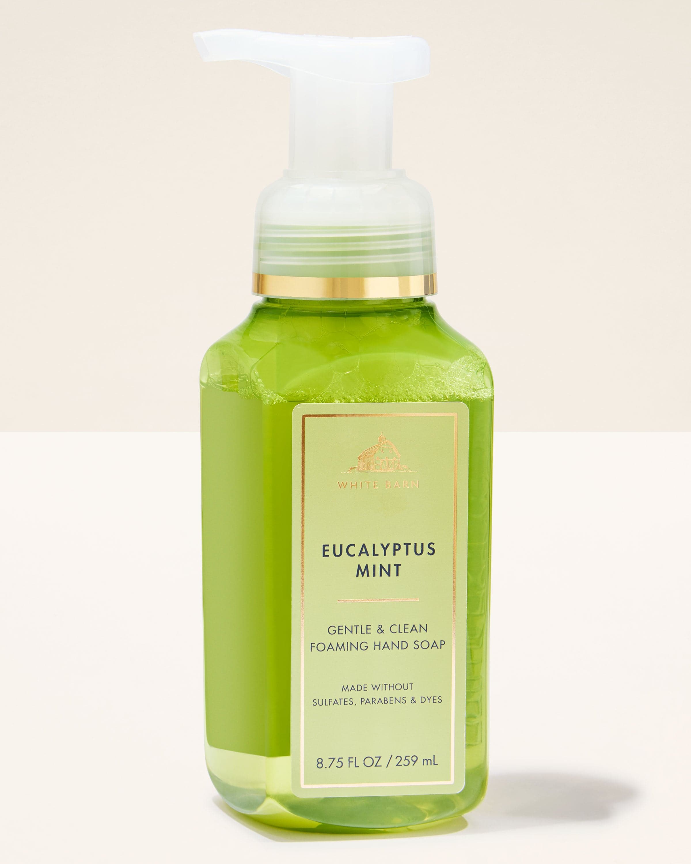 Eucalyptus Mint Foaming Hand Soap - BATH & BODY WORKS